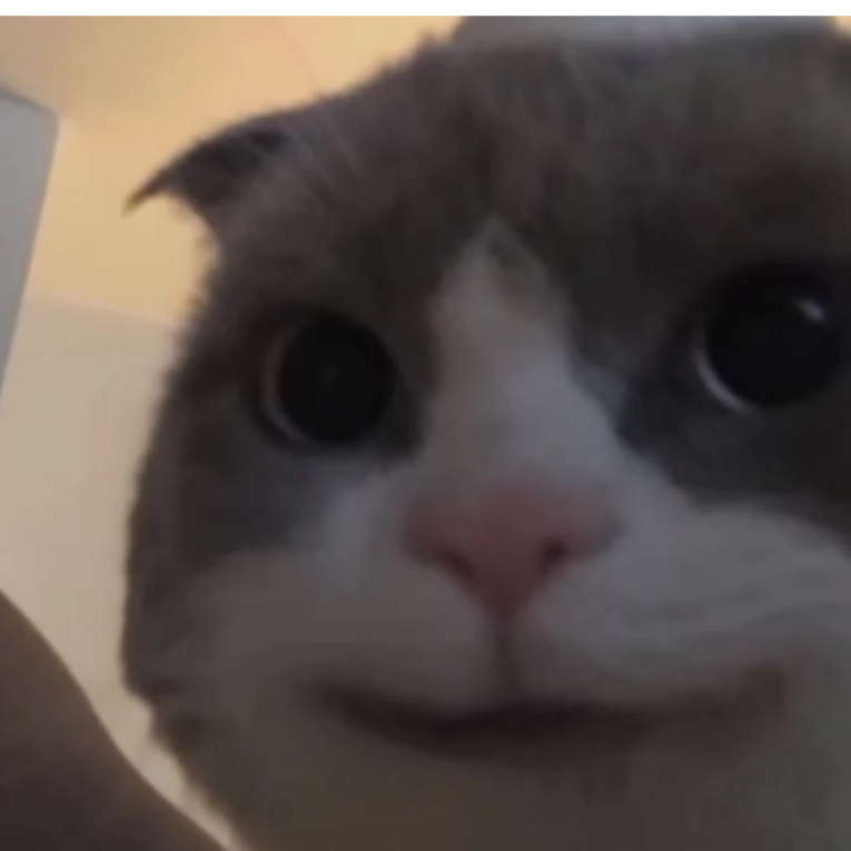我真不爱玩