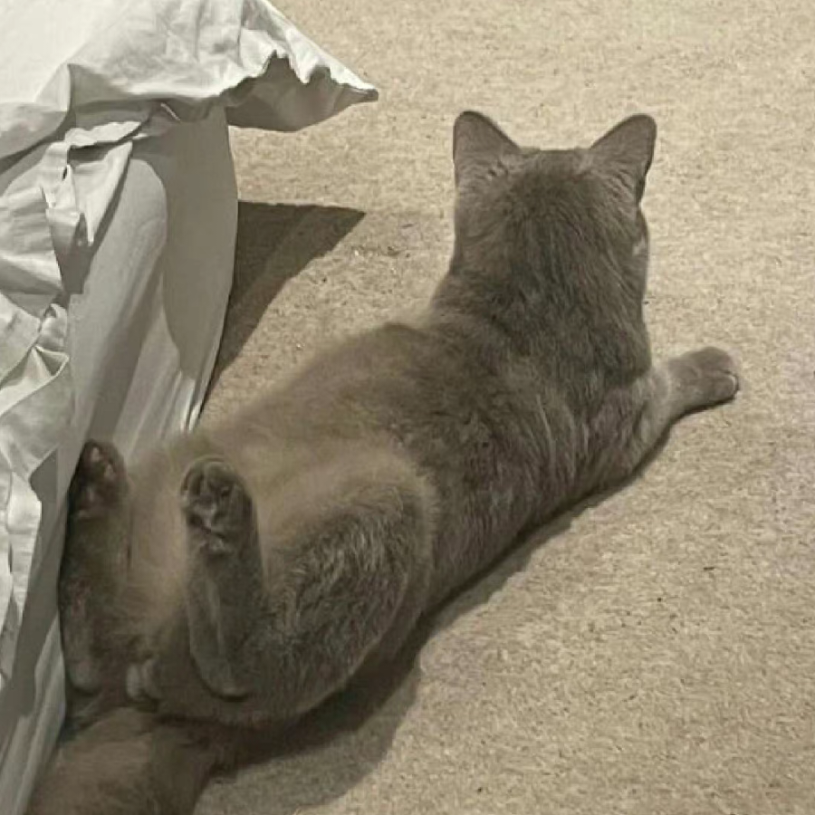 睡眠不足