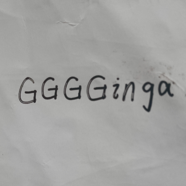 GGGGinga