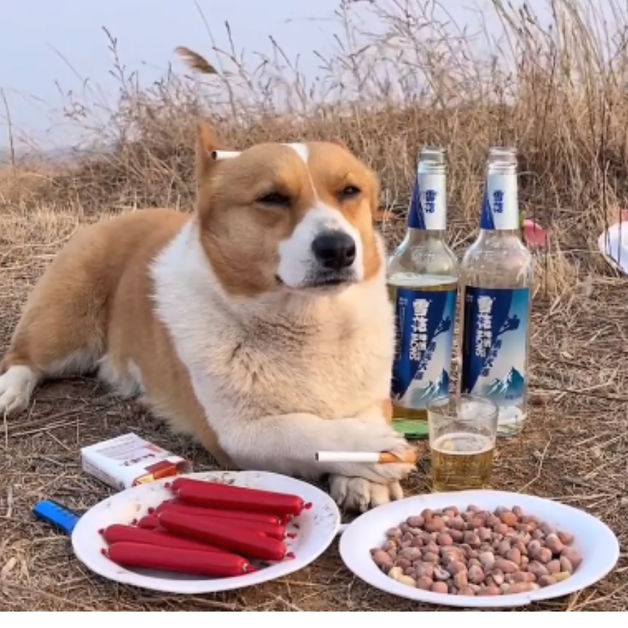 落峥