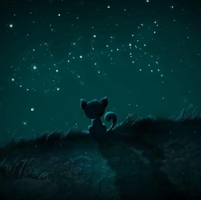 星鸿