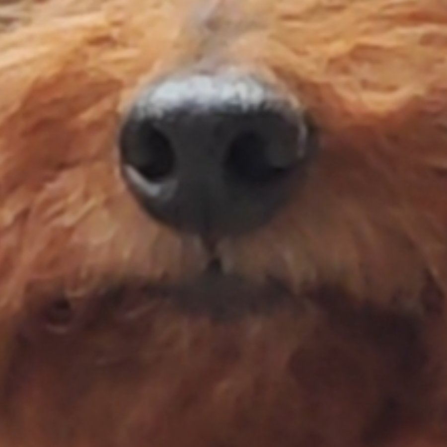 暴龙战士大王