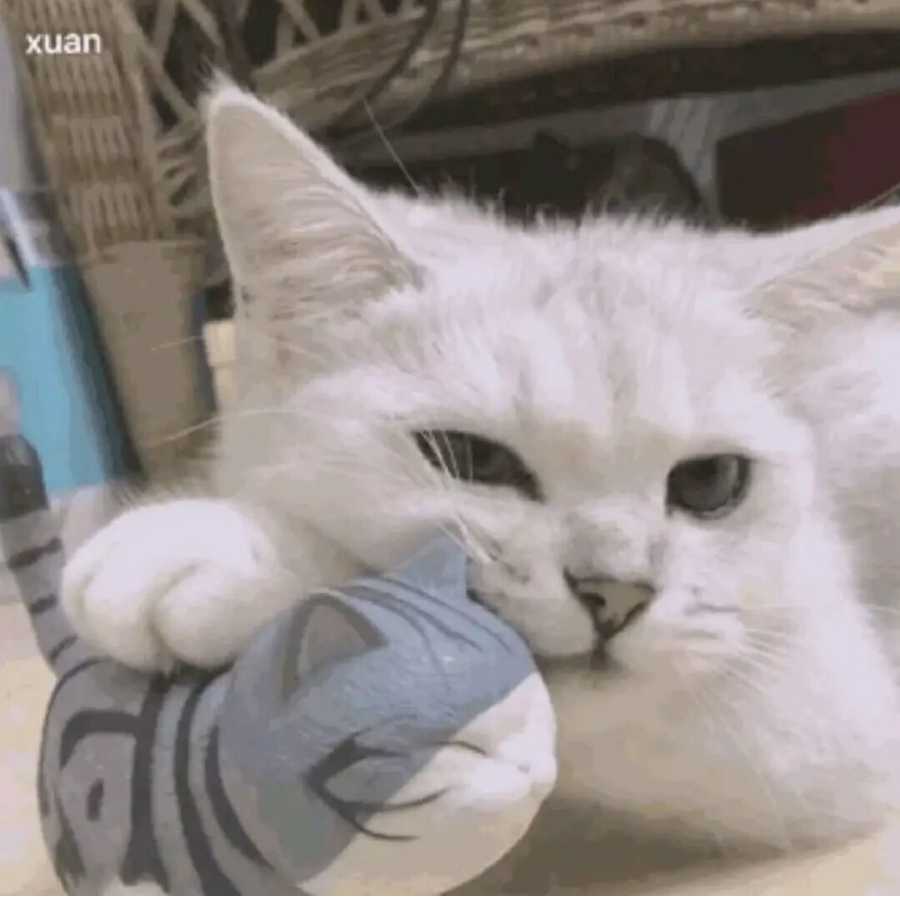 煎蛋