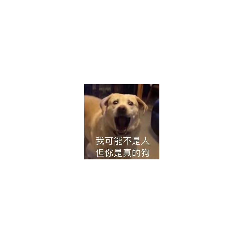 猫脸贼心