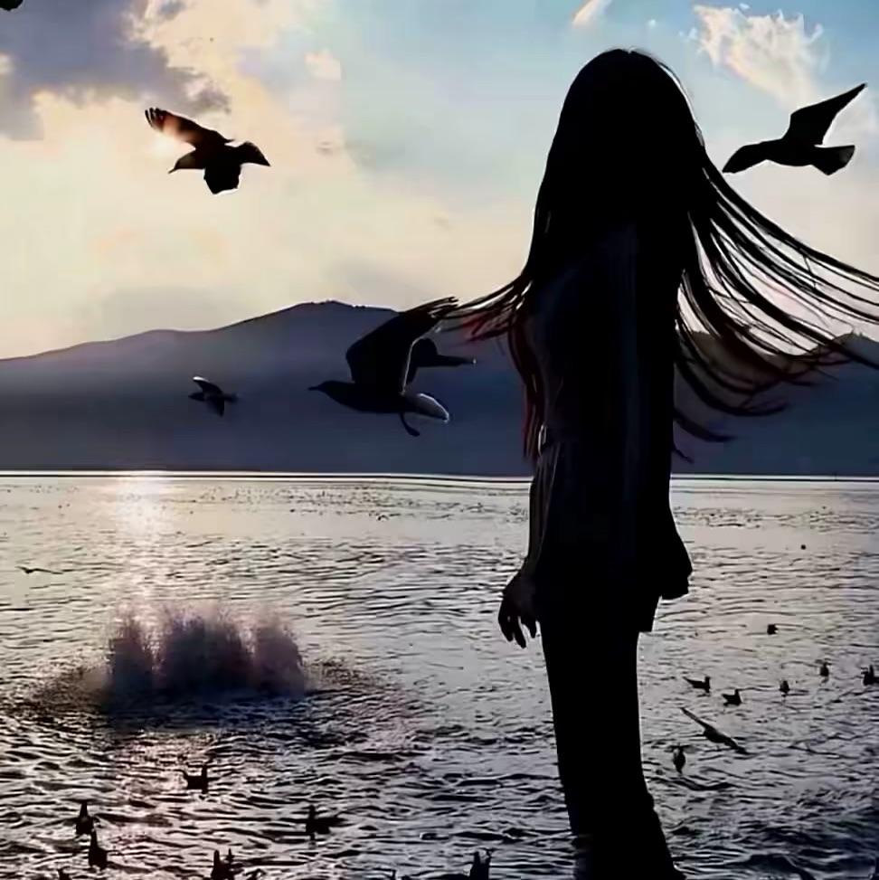 高冷女~