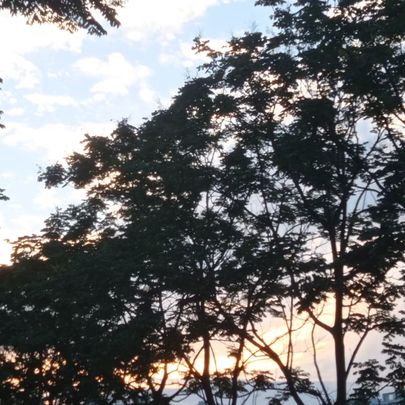 山海澄
