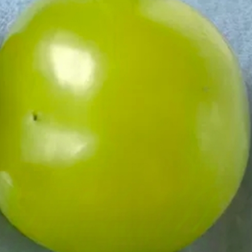 7777
