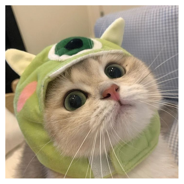 ๓凝ฆ墨๗竹