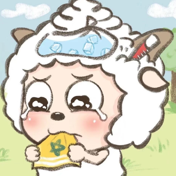 平平无奇小阿正