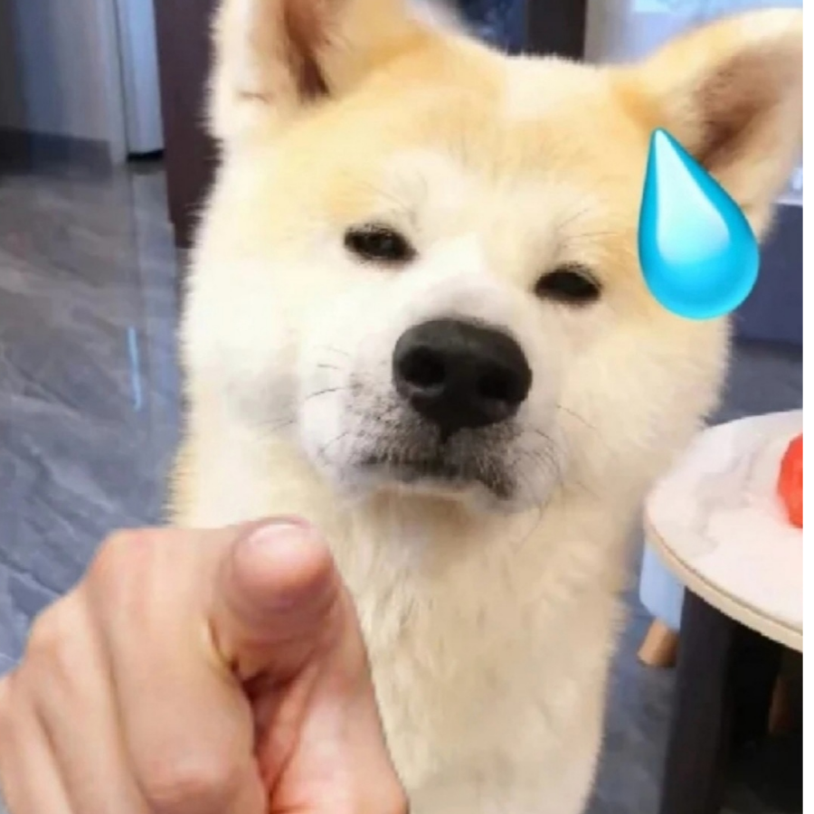 路飞行云