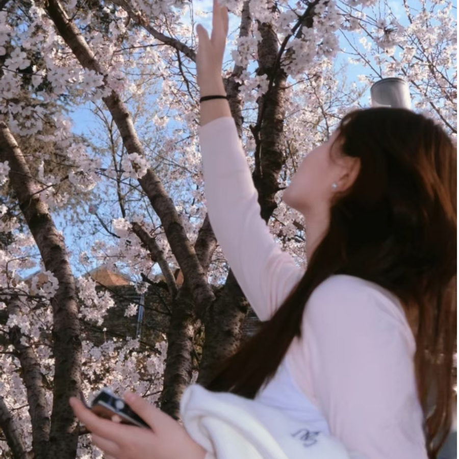 山川奈