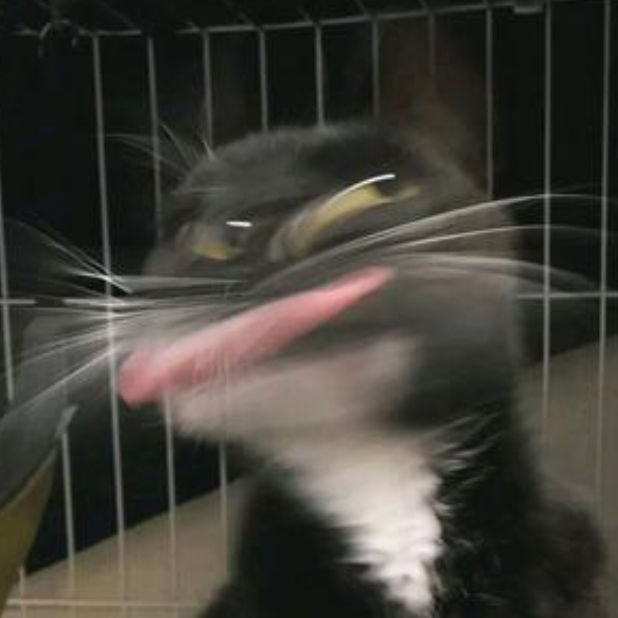 淡俗情