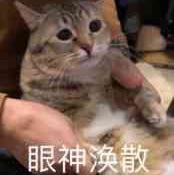 手机用户10194596