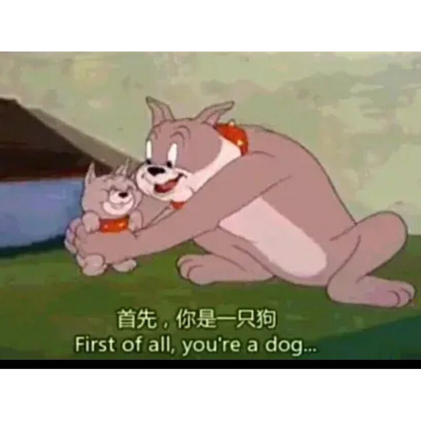超威蓝猫