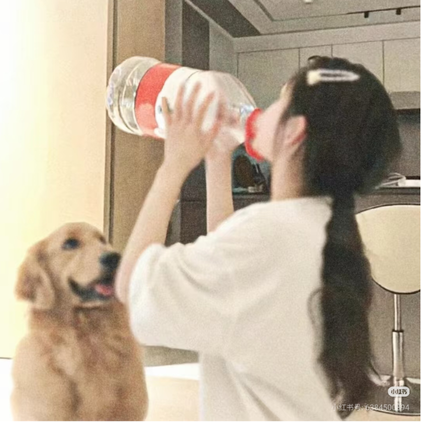 晚瑶