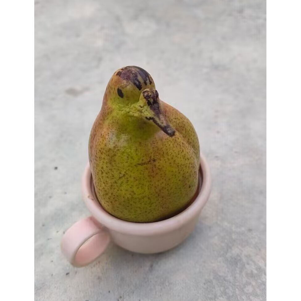 圈圈