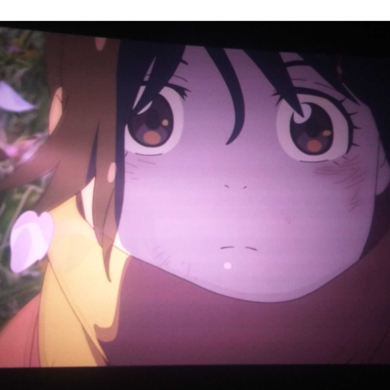 木木