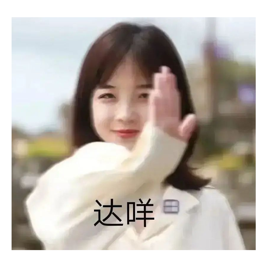 林黛玉千里奔袭尼德兰.