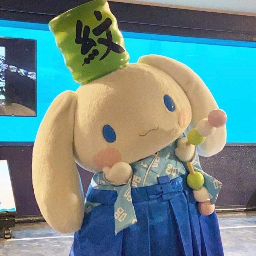 想养布偶猫
