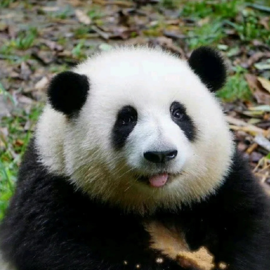 出狱恶露
