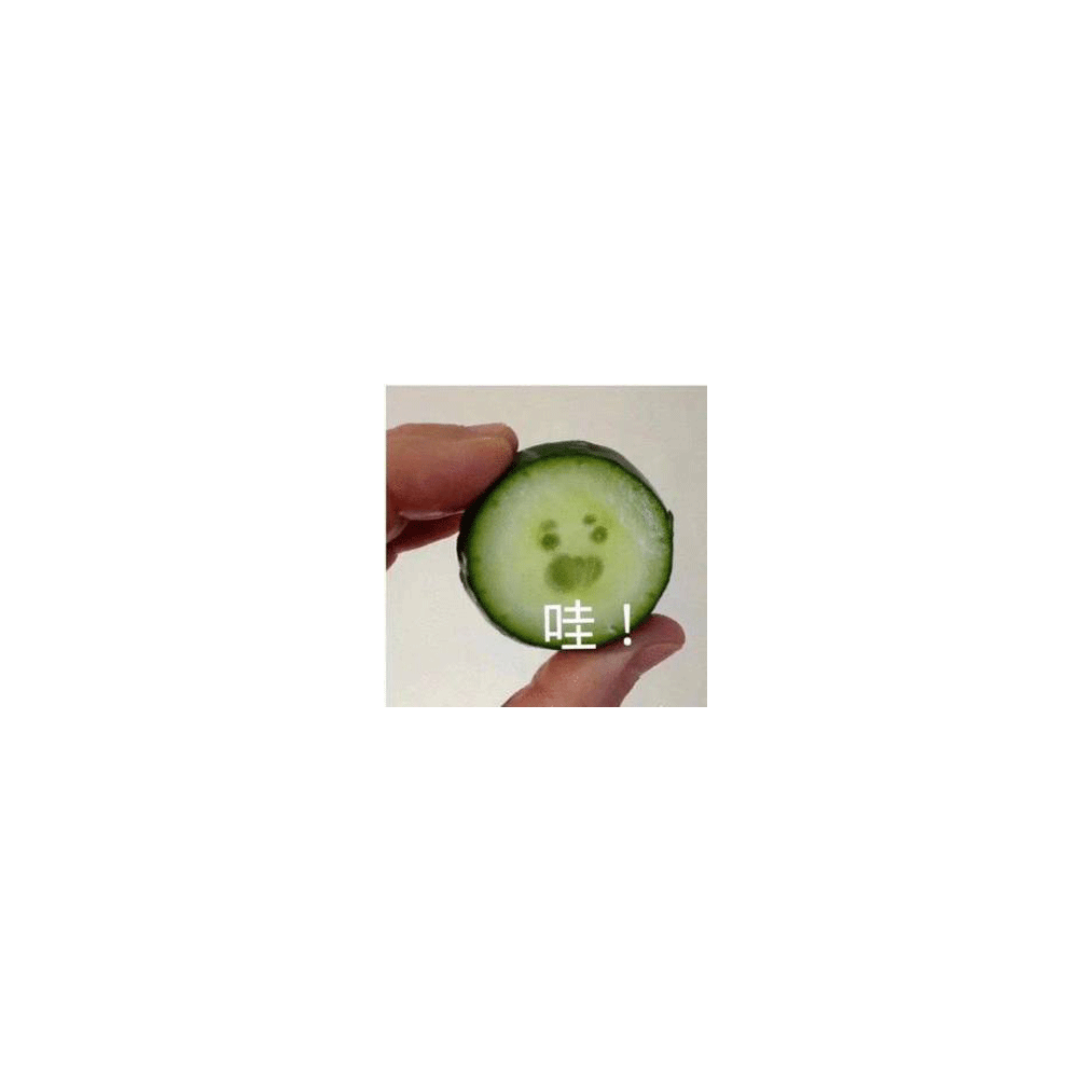 这个人说话一点没文采