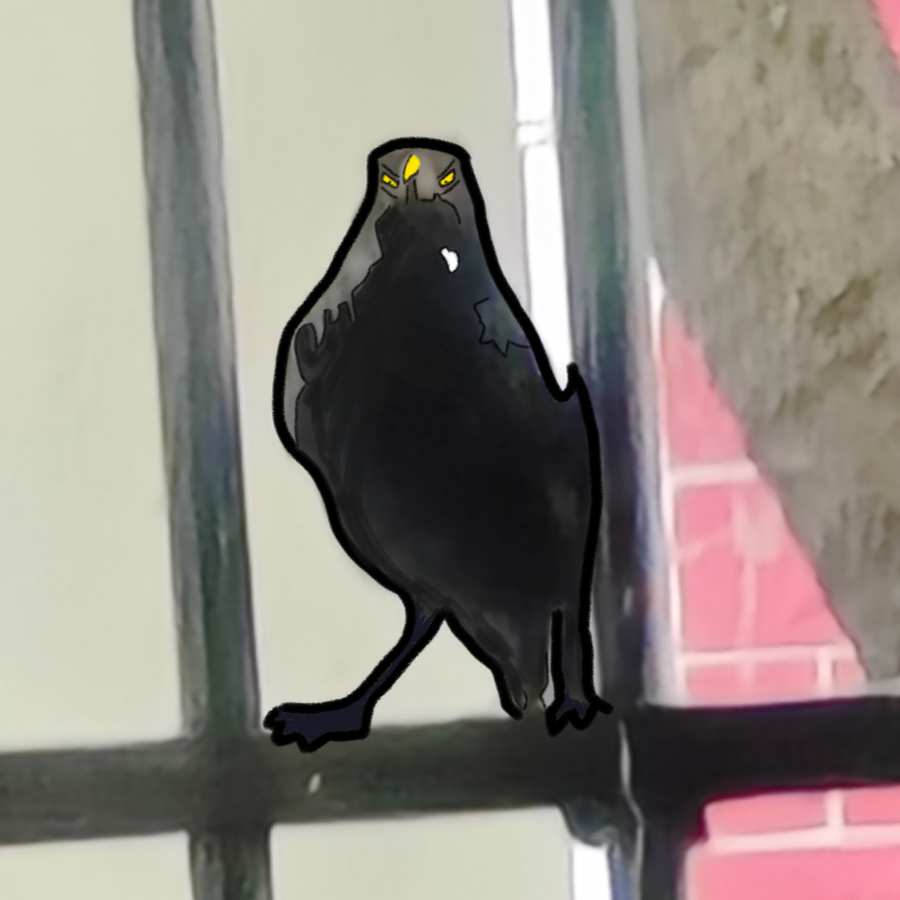 狐呸啵