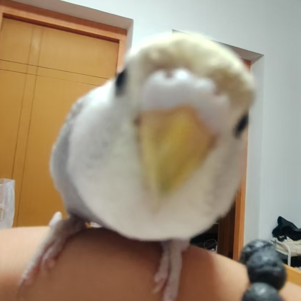 高饱和