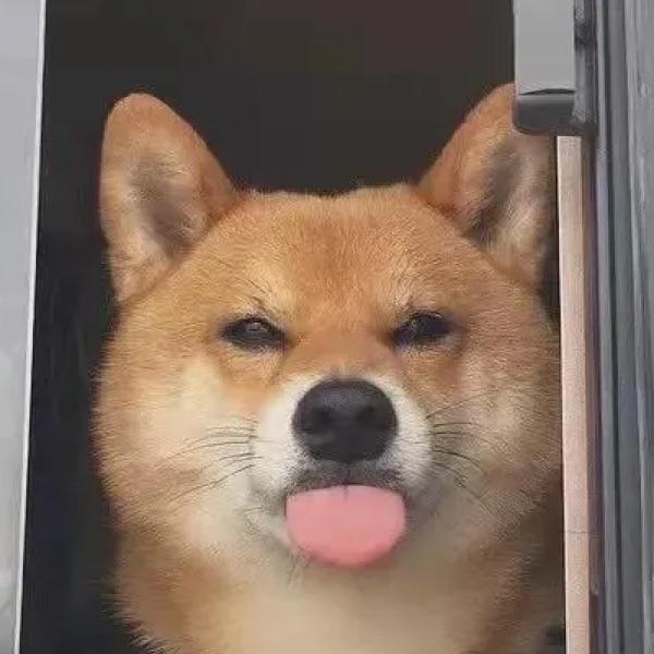 手机用户55410920