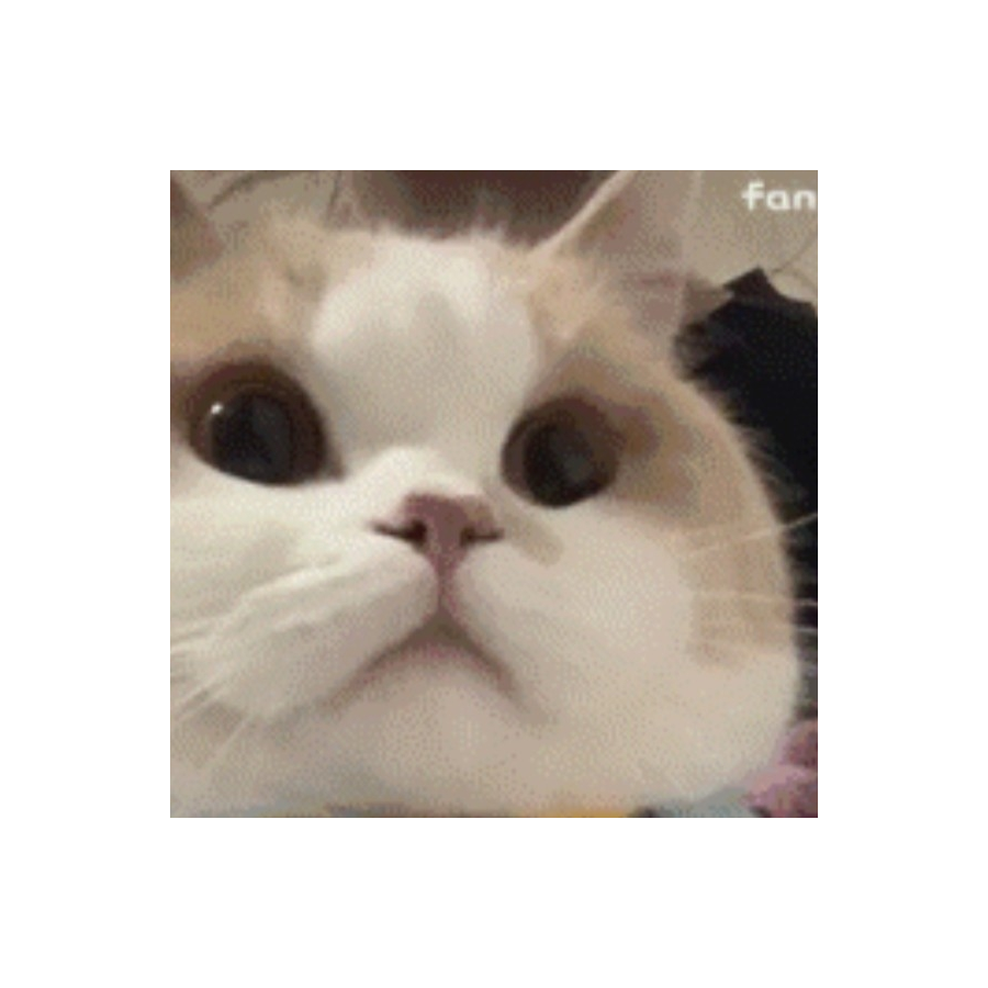 758548