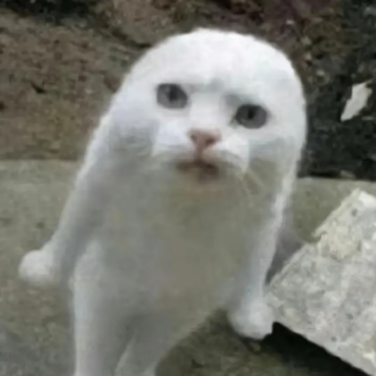 晚饭不见了