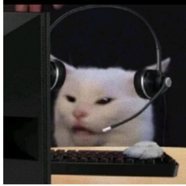 ？？？？