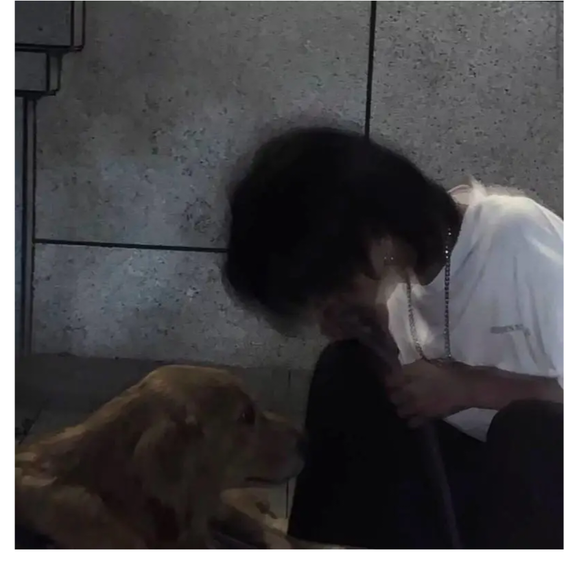 午后的阳光