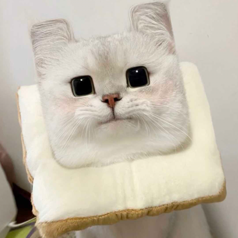 晚風