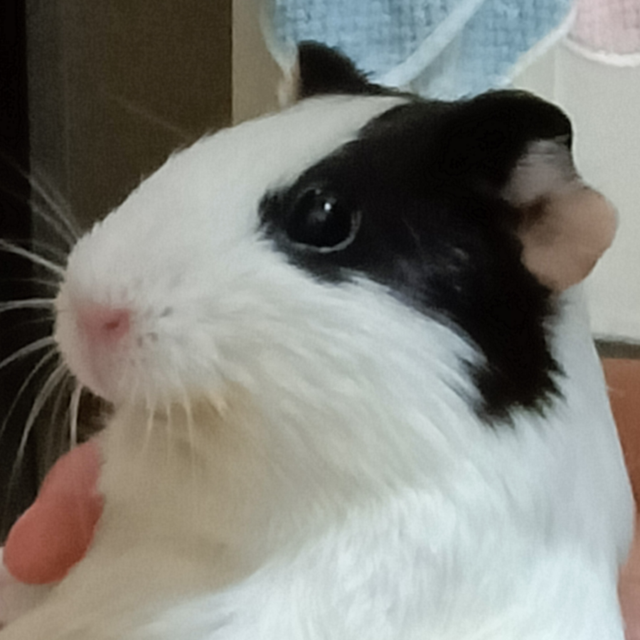 鲸