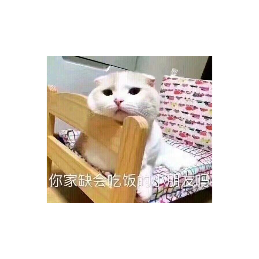 老鼠人