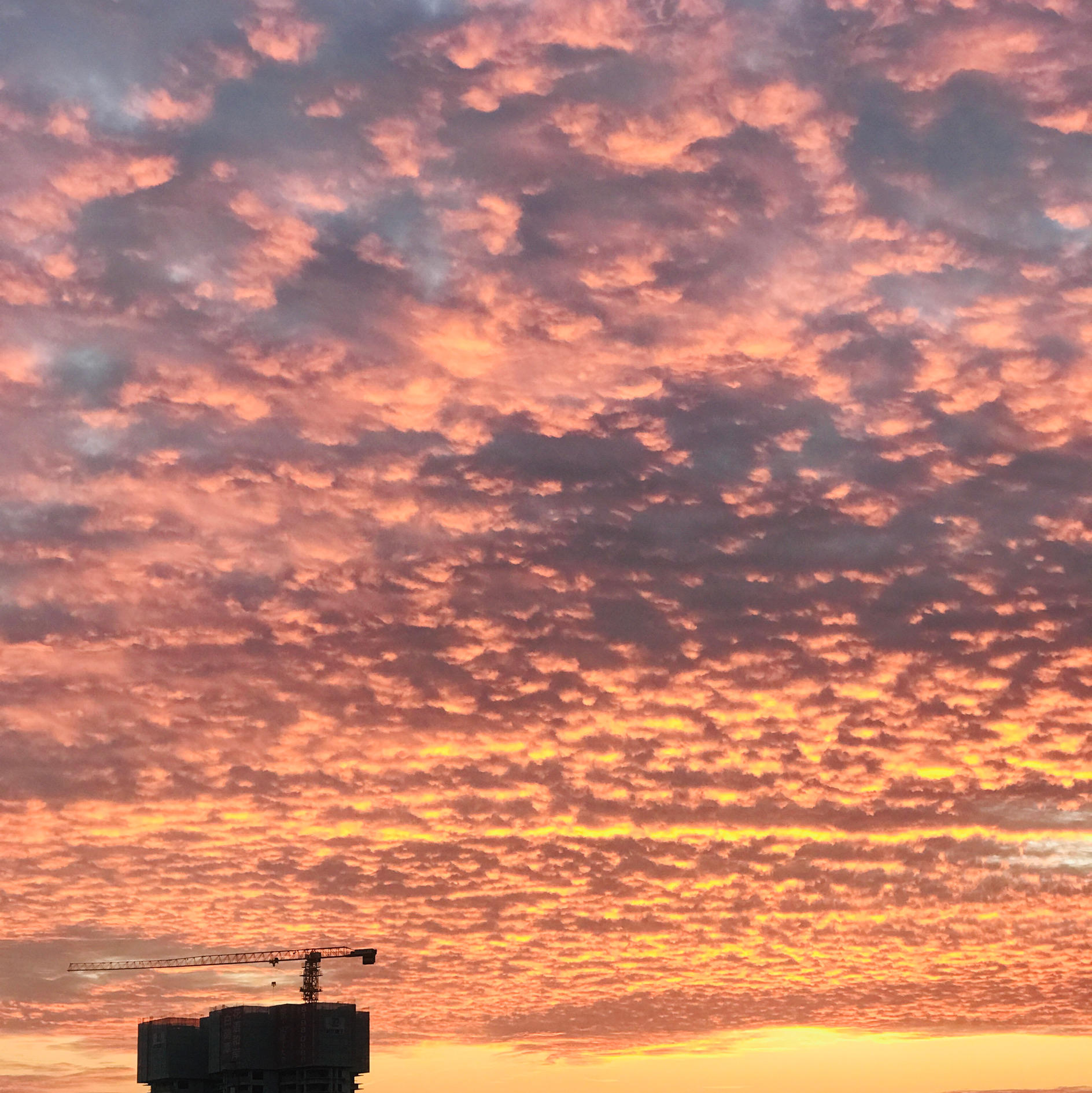 夕阳尽染