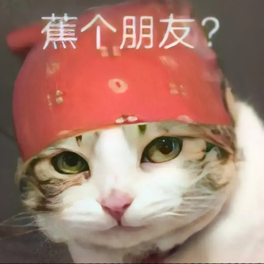 毕业照看看