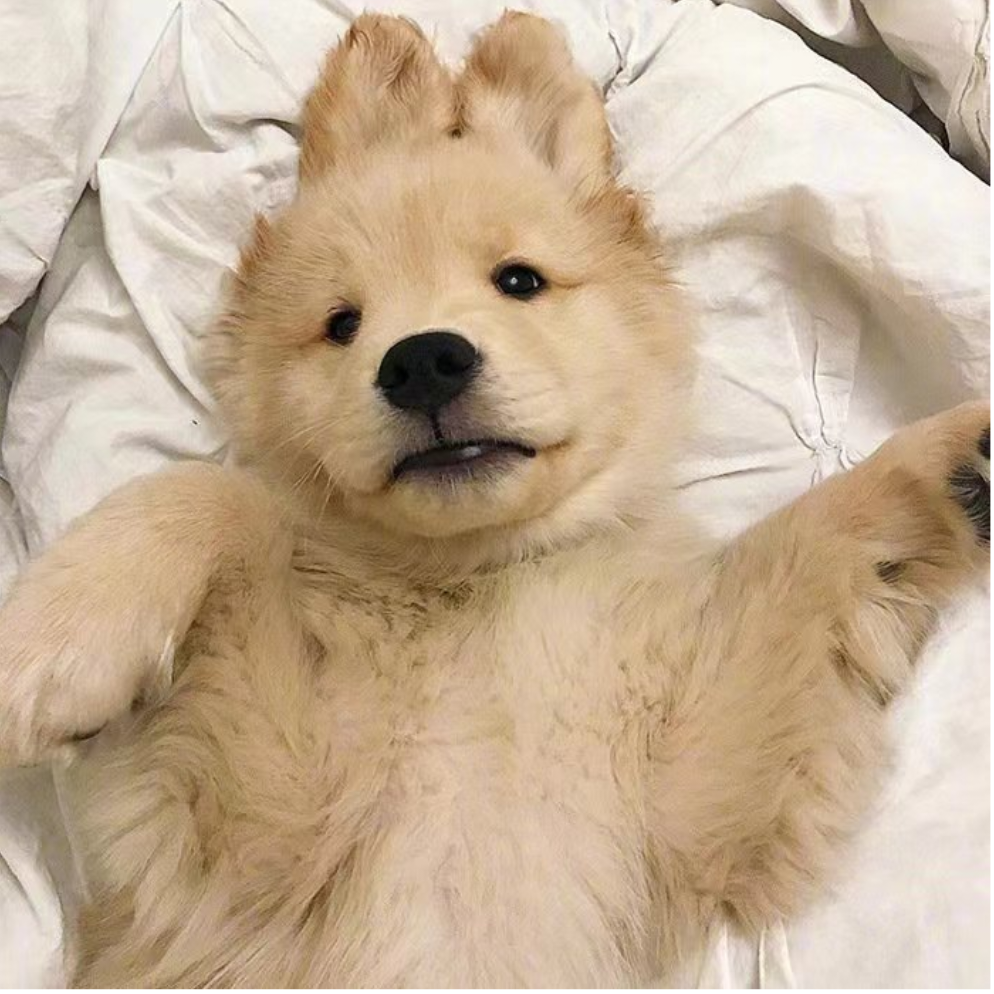 涂期