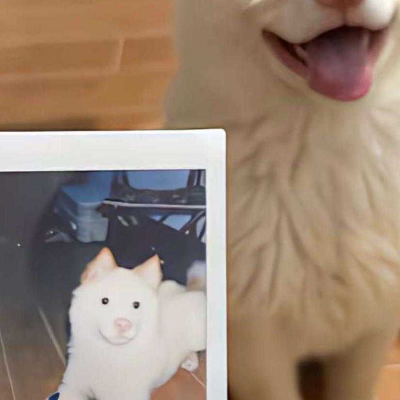 喃喃小忻