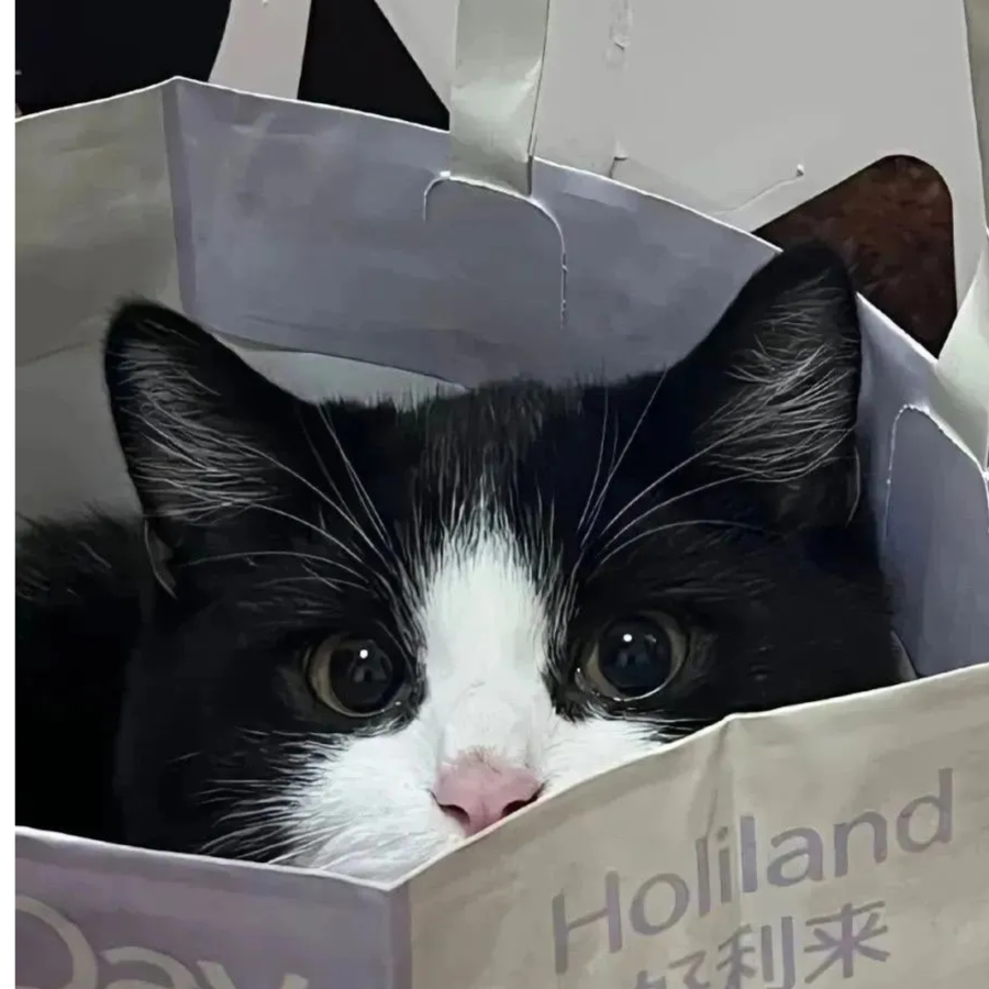 汤圆