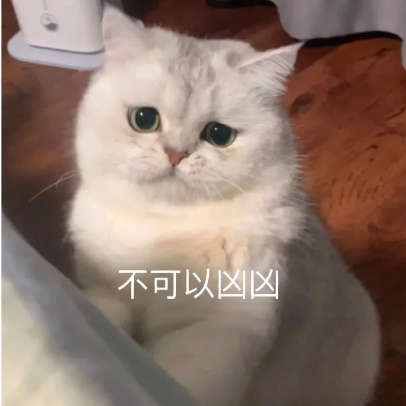 小羊小羊