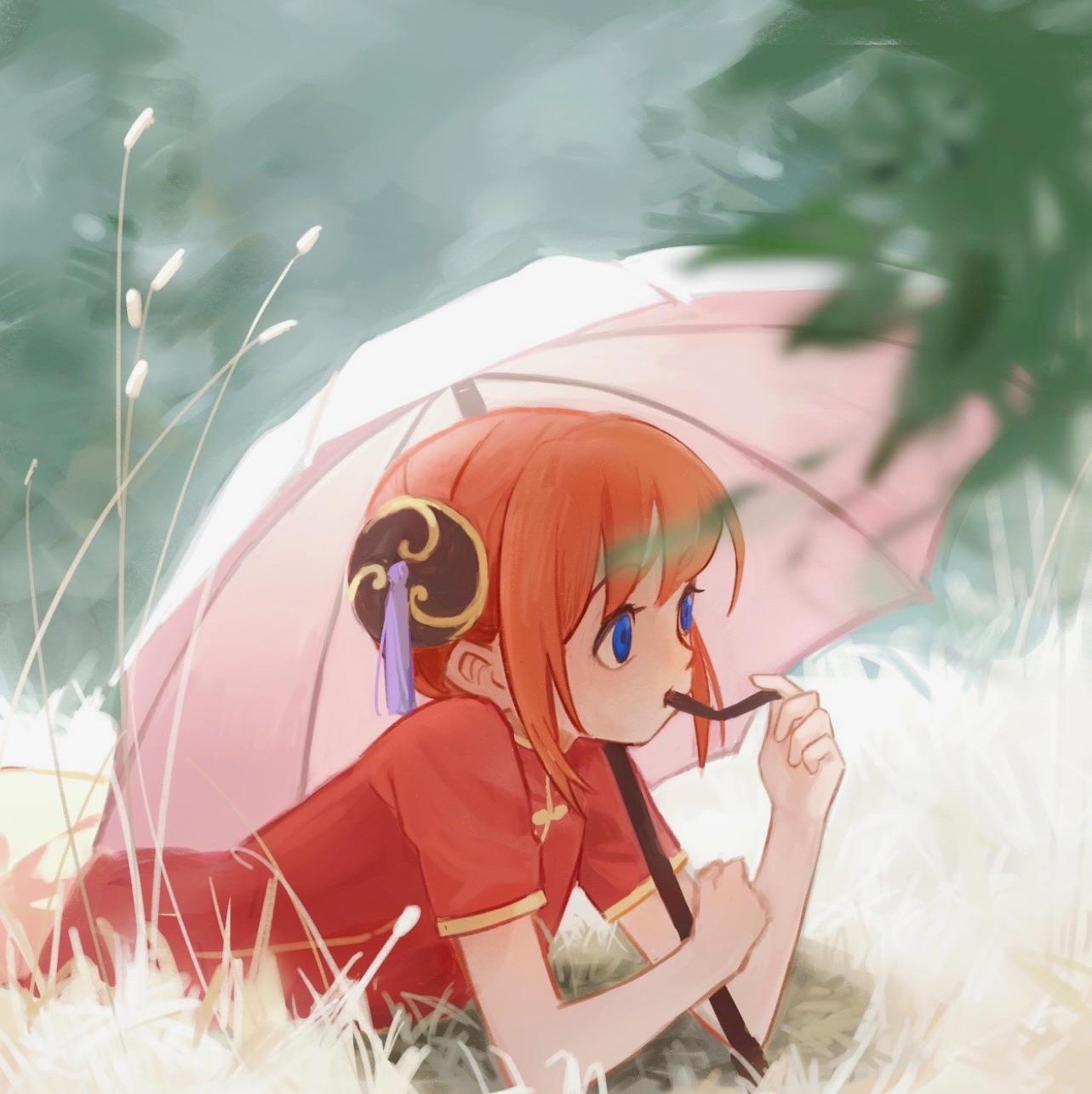 君宝酱
