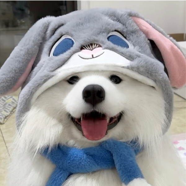不甜