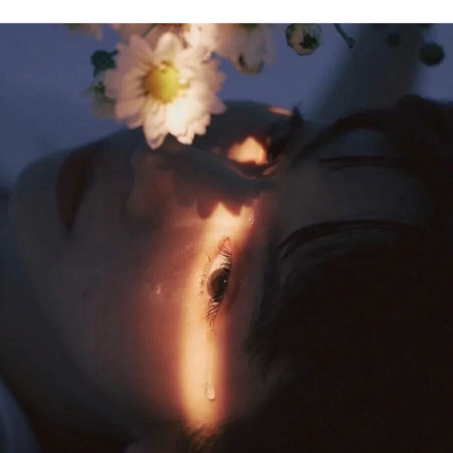 祈愿少女星⭐