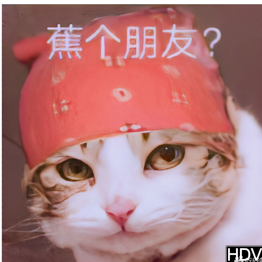 骚菌