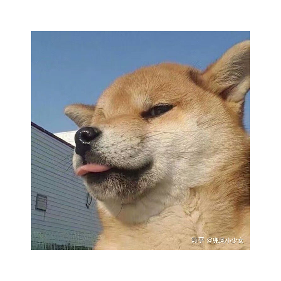 华仔
