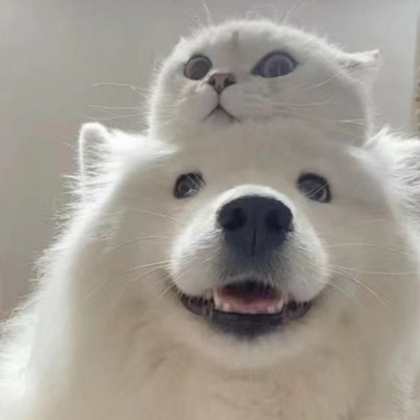 私欲