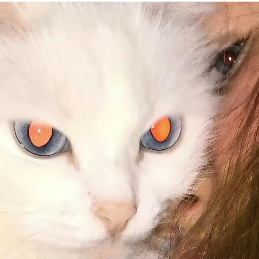 澈子