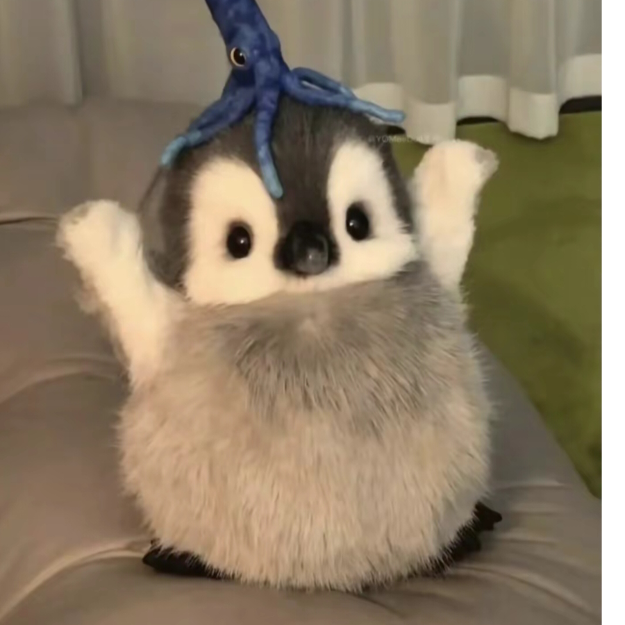 执纤逸