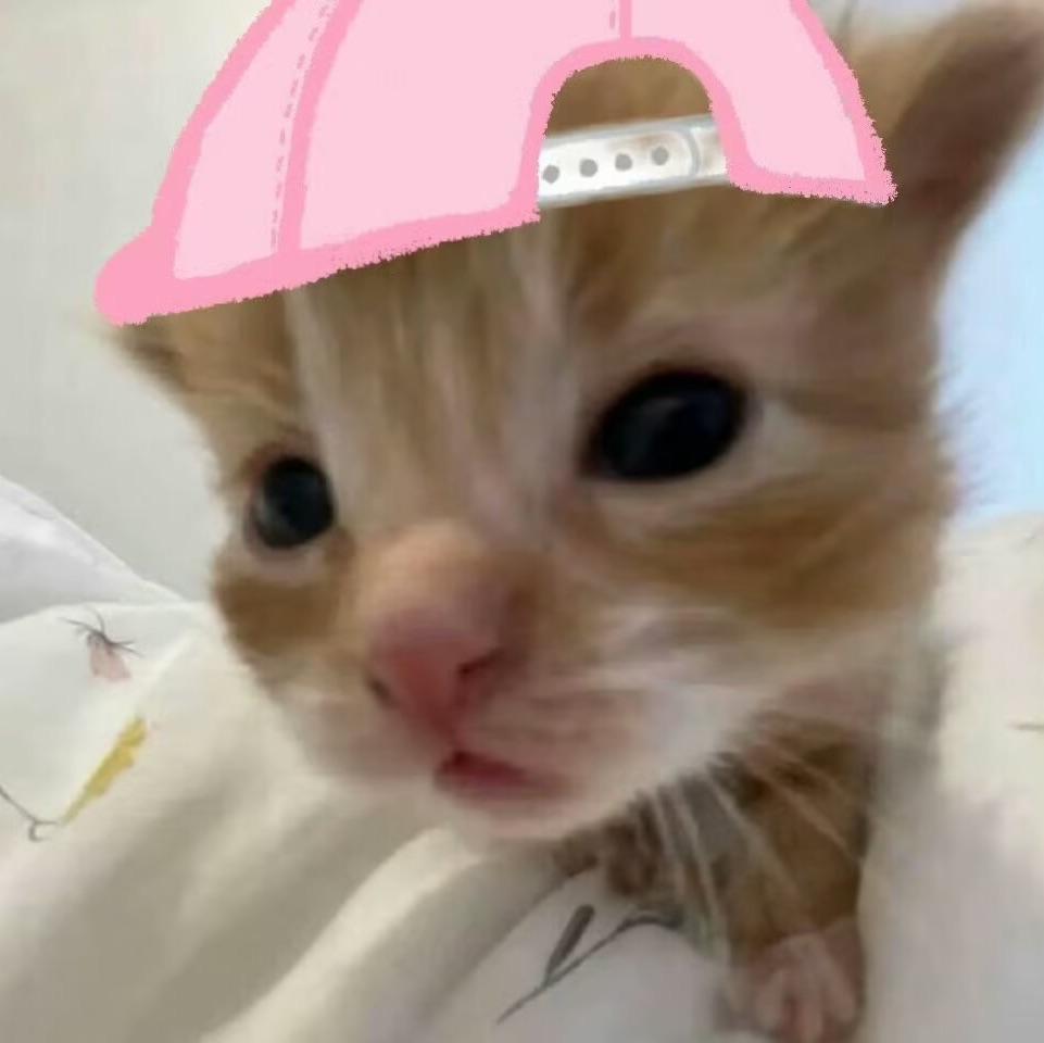 迷雾秋